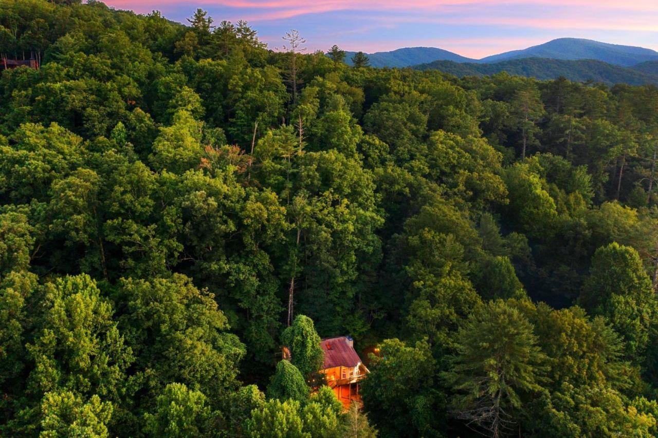 Cozy Cabin Retreat - Hot Tub, Fireplace & Fire Pit Blue Ridge Esterno foto